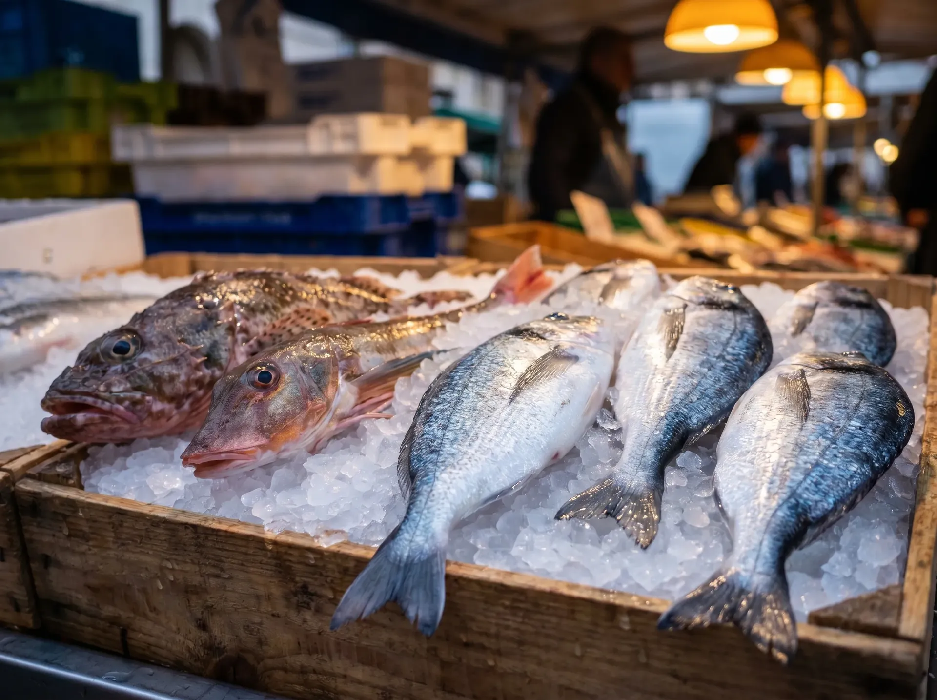 Poissons de roche au marché du matin